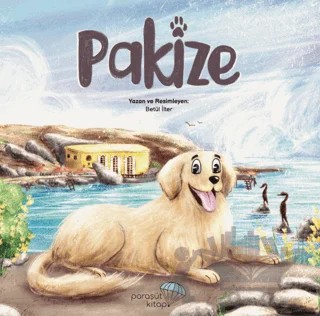 Pakize – Betül İlter – Paraşüt Kitap kitap kapağı