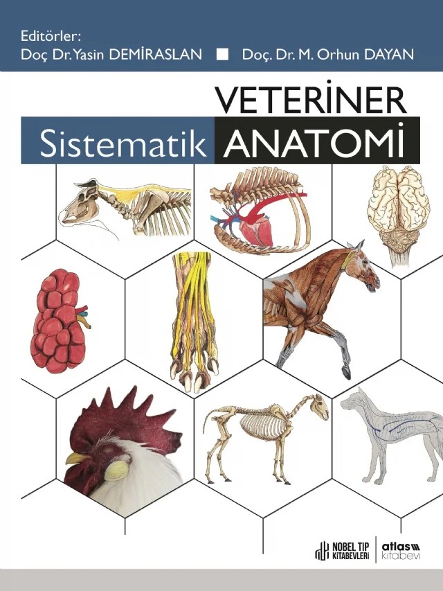 Veteriner Sistematik Anatomi – Yasin Demiraslan, Orhun Dayan – Atlas Yayınevi kitap kapağı
