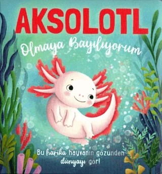 Aksolotl Olmaya Bayılıyorum – Em Bruce – Net Çocuk Yayınları kitap kapağı