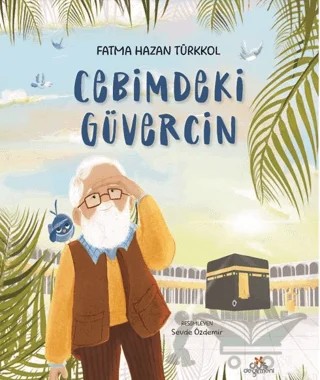 Cebimdeki Güvercin – Fatma Hazan Türkkol – Düş Değirmeni kitap kapağı