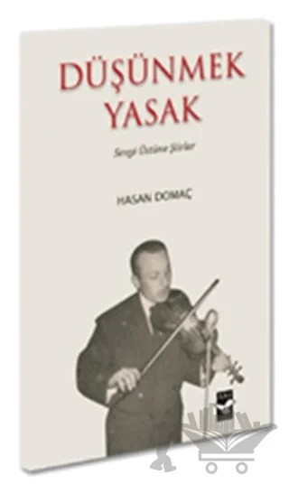 Düşünmek Yasak – Hasan Domaç – Arı Sanat Yayınevi kitap kapağı