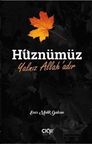 Hüznümüz Yalnız Allah’adır – Enes Malik Gülcan – Çığır Yayınları kitap kapağı