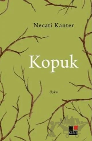 Kopuk – Necati Kanter – Kesit Yayınları kitap kapağı