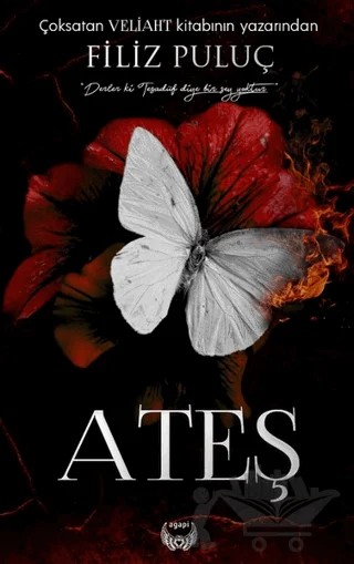 Ateş – Filiz Puluç – Agapi Yayınları kitap kapağı