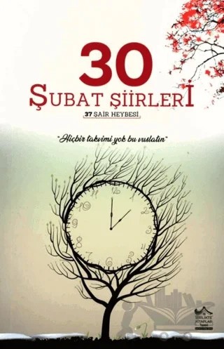 30 Şubat Şiirleri – Ayşegül Poyrazoğlu – Birlikte Kitaplar Yayınevi kitap kapağı