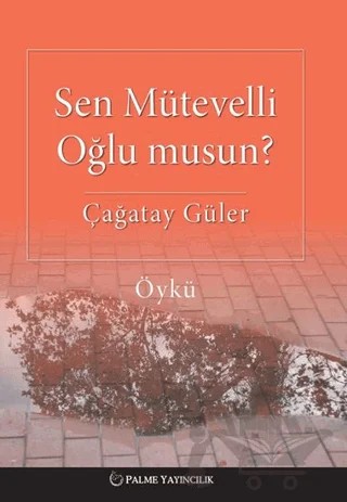 Sen Mütevelli Oğlu Musun? – Çağatay Güler – Palme Yayıncılık kitap kapağı