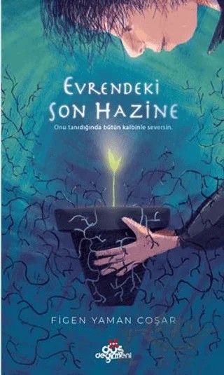 Evrendeki Son Hazine – Figen Yaman Çoşar – Düş Değirmeni kitap kapağı