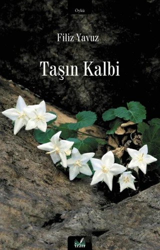 Taşın Kalbi – Filiz Yavuz – İzan Yayıncılık kitap kapağı