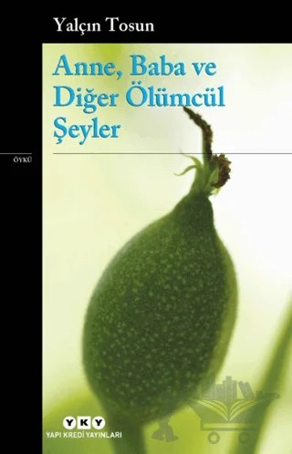 Anne, Baba ve Diğer Ölümcül Şeyler – Yalçın Tosun – Yapı Kredi Yayınları kitap kapağı