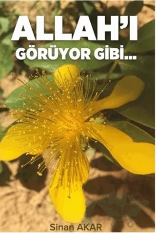Allah'ı Görüyor Gibi – Sinan Akar – Beka Yayınları kitap kapağı