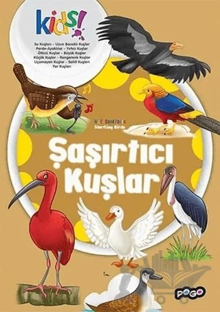 Şaşırtıcı Kuşlar – Kolektif – Pogo Çocuk kitap kapağı