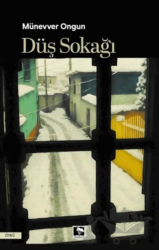 Düş Sokağı – Münevver Ongun – Çınaraltı Yayınları kitap kapağı