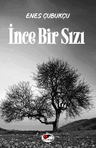 İnce Bir Sızı – Enes Çubukçu – Kırmızı ve Siyah Yayınevi kitap kapağı