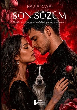 Son Sözüm – Rabia Kaya – Sokak Kitapları Yayınları kitap kapağı