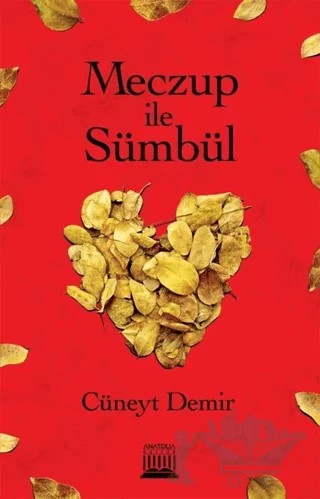 Meczup ile Sümbül – Cüneyt Demir – Anatolia Kitap kitap kapağı