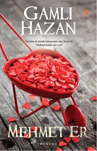 Gamlı Hazan – Mehmet Er – Cinius Yayınları kitap kapağı