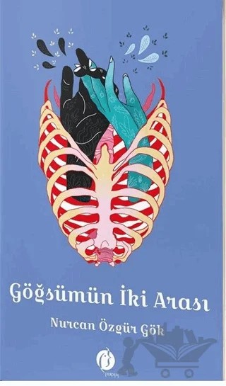 Göğsümün İki Arası – Nurcan Özgür Gök – Herdem Kitap kitap kapağı