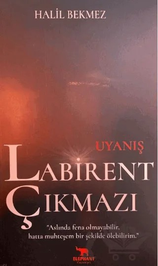Uyanış Labirent Çıkmazı – Halil Bekmez – Elephant Yayınları kitap kapağı