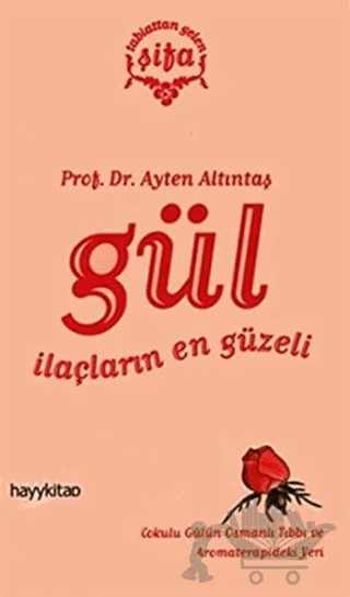 Gül – Ayten Altıntaş – Hayykitap kitap kapağı