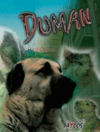 Duman – Ünal Özmen – Paydos Yayıncılık kitap kapağı