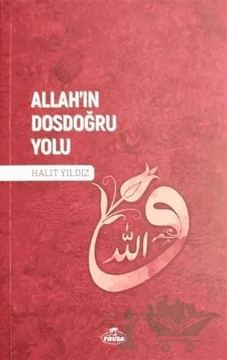 Allah'ın Dosdoğru Yolu – Halit Yıldız – Ravza Yayınları kitap kapağı