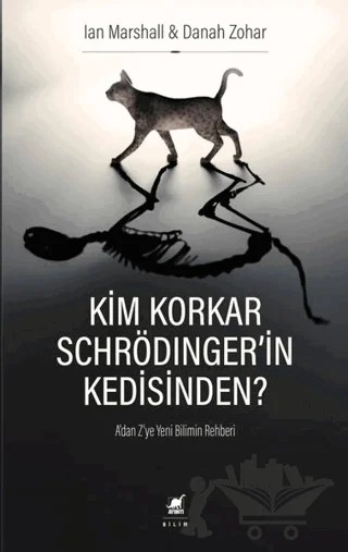 Kim Korkar Schrödinger'in Kedisinden? – Danah Zohar, Ian Marshall – Ayrıntı Yayınları kitap kapağı