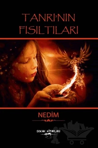 Tanrı'nın Fılsıtıları – Nedim – Sokak Kitapları Yayınları kitap kapağı