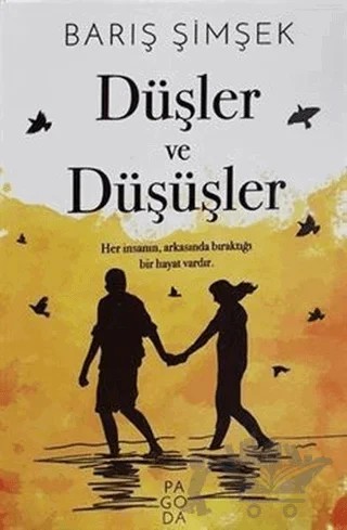 Düşler ve Düşüşler – Barış Şimşek – Pagoda Yayınları kitap kapağı