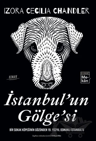 İstanbul'un Gölgesi – Izora Cecilia Chandler – Everest Yayınları kitap kapağı