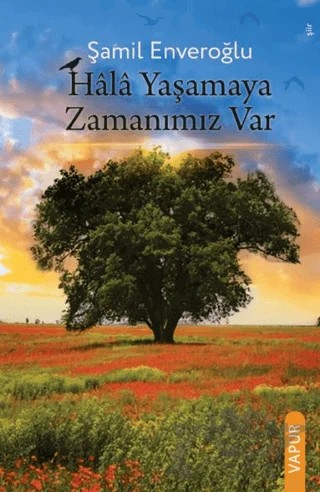 Hala Yaşamaya Zamanımız Var – Şamil Enveroğlu – Vapur Yayınları kitap kapağı