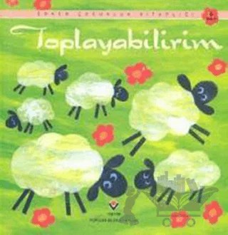 Toplayabilirim – Ray Gibson – TÜBİTAK Yayınları kitap kapağı