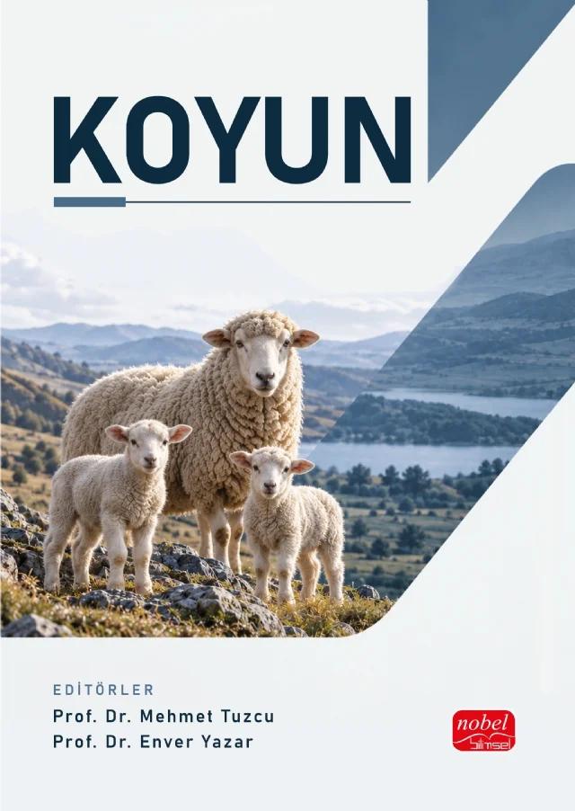 Koyun