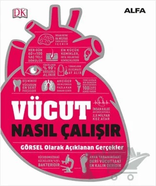 Vücut Nasıl Çalışır – Kolektif – Alfa Yayınları kitap kapağı