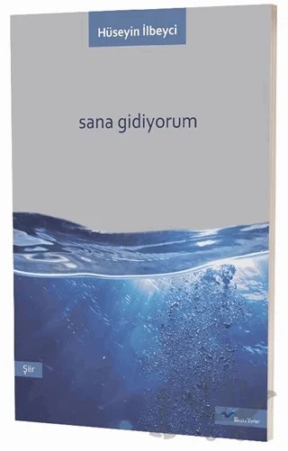 Sana Gidiyorum – Hüseyin İlbeyci – Başka Yerler Yayınları kitap kapağı