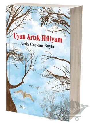 Uyan Artık Hülyam – Arda Çoşkun Boyla – Etki Yayınları kitap kapağı