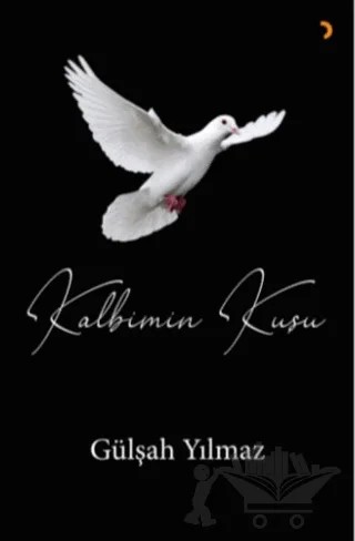 Kalbimin Kuşu – Gülşah Yılmaz – Cinius Yayınları kitap kapağı