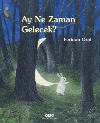 Ay Ne Zaman Gelecek? – Feridun Oral – Yapı Kredi Yayınları kitap kapağı