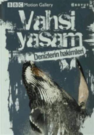 Vahşi Yaşam-Denizlerin Hakimleri – Amy-Jane Beer, Pat Morris – Boyut Yayın Grubu kitap kapağı