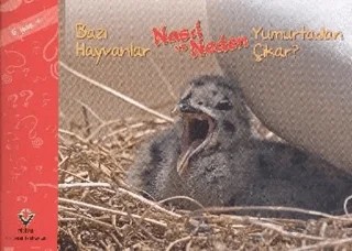 Bazı Hayvanlar Nasıl ve Neden Yumurtadan Çıkar – Elaine Pascoe – TÜBİTAK Yayınları kitap kapağı