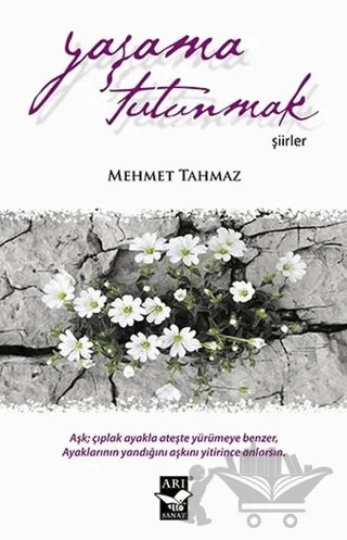 Yaşama Tutunmak – Mehmet Tahmaz – Arı Sanat Yayınevi kitap kapağı