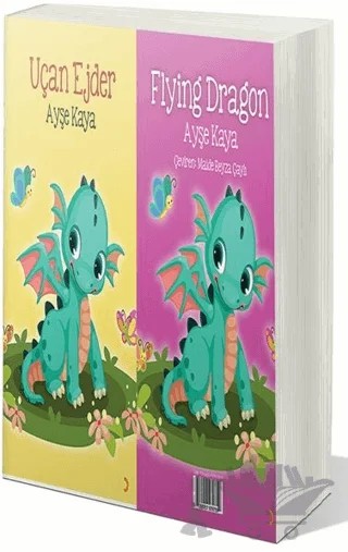 Uçan Ejder - Flying Dragon – Ayşe Kaya – Cinius Yayınları kitap kapağı
