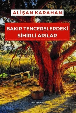 Bakır Tencerelerdeki Sihirli Arılar – Alişan Karahan – Sokak Kitapları Yayınları kitap kapağı