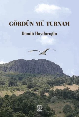 Gördün Mü Turnam – Döndü Haydaroğlu – Luna Yayınları kitap kapağı