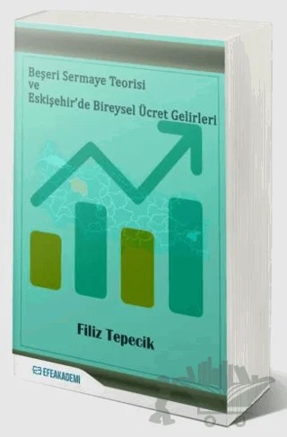 Beşeri Sermaye Teorisi Ve Eskişehir’de Bireysel Ücret Gelirleri – Filiz Tepecik – Efe Akademi Yayınları kitap kapağı