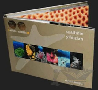 Sualtının Yıldızları – Alptekin Baloğlu – A4 Ofset kitap kapağı