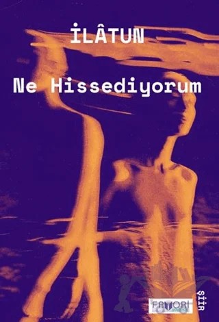Ne Hissediyorum – İlatun – Favori Yayınları kitap kapağı