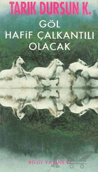 Göl Hafif Çalkantılı Olacak – Tarık Dursun K. – Bilgi Yayınevi kitap kapağı