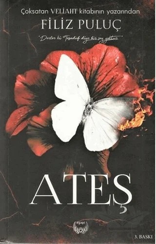 Ateş – Filiz Puluç – Agapi Yayınları kitap kapağı