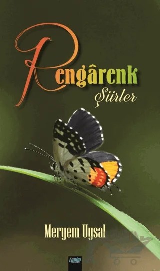 Rengarenk Şiirler – Meryem Uysal – Çimke Yayınevi kitap kapağı