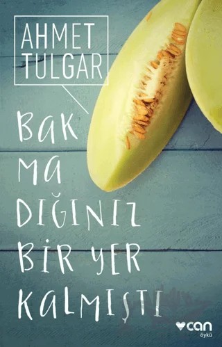 Bakmadığınız Bir Yer Kalmıştı – Ahmet Tulgar – Can Yayınları kitap kapağı